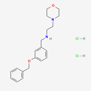 2-morpholin-4-yl-N-[(3-phenylmethoxyphenyl)methyl]ethanamine;dihydrochloride