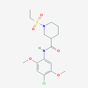 N-(4-chloro-2,5-dimethoxyphenyl)-1-ethylsulfonylpiperidine-3-carboxamide