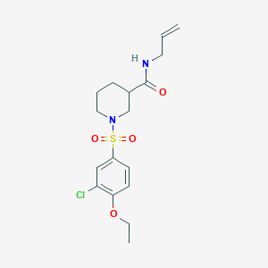 1-(3-CHLORO-4-ETHOXYBENZENESULFONYL)-N-(PROP-2-EN-1-YL)PIPERIDINE-3-CARBOXAMIDE