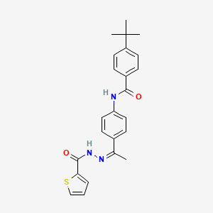 4-(TERT-BUTYL)-N~1~-(4-{1-[(Z)-2-(2-THIENYLCARBONYL)HYDRAZONO]ETHYL}PHENYL)BENZAMIDE