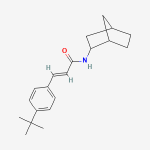 molecular formula C20H27NO B5280356 (E)-N-(2-bicyclo[2.2.1]heptanyl)-3-(4-tert-butylphenyl)prop-2-enamide 