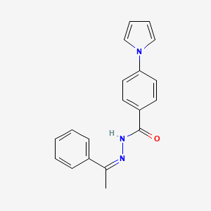 molecular formula C19H17N3O B5282983 N-[(Z)-1-phenylethylideneamino]-4-pyrrol-1-ylbenzamide 