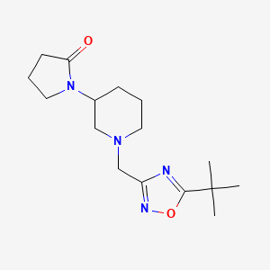 1-{1-[(5-tert-butyl-1,2,4-oxadiazol-3-yl)methyl]piperidin-3-yl}pyrrolidin-2-one