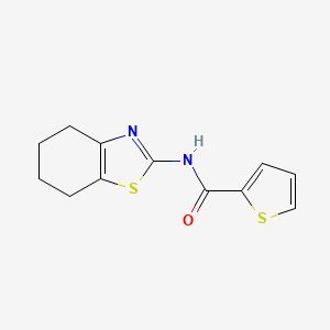 molecular formula C12H12N2OS2 B5284353 N-(4,5,6,7-tetrahydro-1,3-benzothiazol-2-yl)thiophene-2-carboxamide 