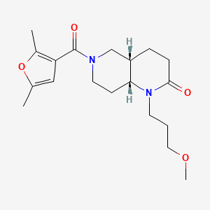 molecular formula C19H28N2O4 B5287895 (4aS*,8aR*)-6-(2,5-dimethyl-3-furoyl)-1-(3-methoxypropyl)octahydro-1,6-naphthyridin-2(1H)-one 