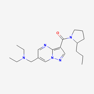 molecular formula C19H29N5O B5292851 N-ethyl-N-({3-[(2-propylpyrrolidin-1-yl)carbonyl]pyrazolo[1,5-a]pyrimidin-6-yl}methyl)ethanamine 