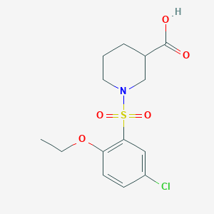 1-[(5-chloro-2-ethoxyphenyl)sulfonyl]piperidine-3-carboxylic acid