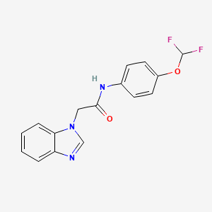 molecular formula C16H13F2N3O2 B5300039 2-(1H-benzimidazol-1-yl)-N-[4-(difluoromethoxy)phenyl]acetamide 