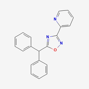 molecular formula C20H15N3O B5300054 2-[5-(diphenylmethyl)-1,2,4-oxadiazol-3-yl]pyridine 