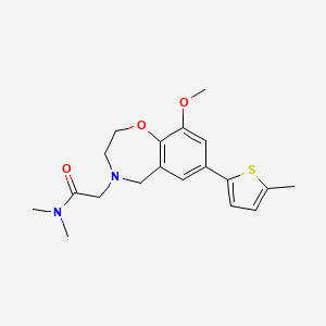 molecular formula C19H24N2O3S B5301688 2-[9-methoxy-7-(5-methyl-2-thienyl)-2,3-dihydro-1,4-benzoxazepin-4(5H)-yl]-N,N-dimethylacetamide 