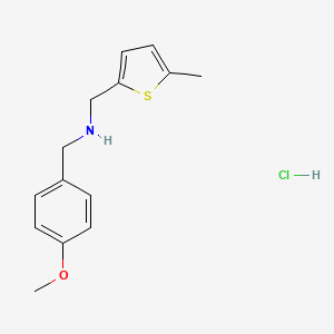 molecular formula C14H18ClNOS B5301790 (4-methoxybenzyl)[(5-methyl-2-thienyl)methyl]amine hydrochloride 