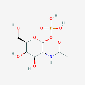 molecular formula C8H16NO9P B053027 N-acetyl-alpha-D-glucosamine 1-phosphate CAS No. 119185-08-9