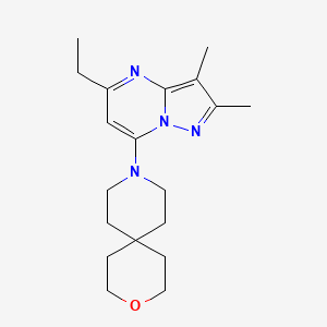 molecular formula C19H28N4O B5302720 9-(5-ethyl-2,3-dimethylpyrazolo[1,5-a]pyrimidin-7-yl)-3-oxa-9-azaspiro[5.5]undecane 