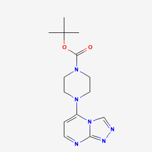 molecular formula C14H20N6O2 B5302870 tert-butyl 4-[1,2,4]triazolo[4,3-a]pyrimidin-5-yl-1-piperazinecarboxylate 