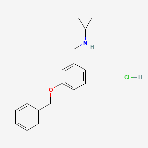 molecular formula C17H20ClNO B5303792 N-[3-(benzyloxy)benzyl]cyclopropanamine hydrochloride 
