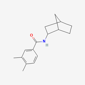 molecular formula C16H21NO B5305612 N-bicyclo[2.2.1]hept-2-yl-3,4-dimethylbenzamide 