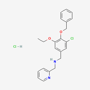 molecular formula C22H24Cl2N2O2 B5305835 [4-(benzyloxy)-3-chloro-5-ethoxybenzyl](2-pyridinylmethyl)amine hydrochloride 