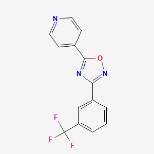 molecular formula C14H8F3N3O B5305848 4-{3-[3-(trifluoromethyl)phenyl]-1,2,4-oxadiazol-5-yl}pyridine 