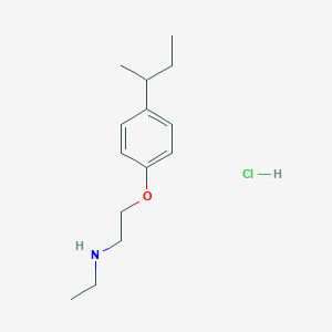 molecular formula C14H24ClNO B5306753 [2-(4-sec-butylphenoxy)ethyl]ethylamine hydrochloride 