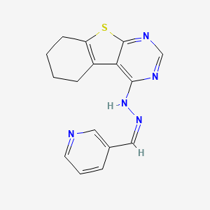 nicotinaldehyde 5,6,7,8-tetrahydro[1]benzothieno[2,3-d]pyrimidin-4-ylhydrazone