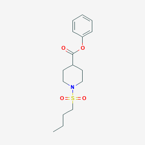 phenyl 1-(butylsulfonyl)-4-piperidinecarboxylate