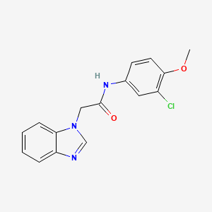 molecular formula C16H14ClN3O2 B5307561 2-(1H-benzimidazol-1-yl)-N-(3-chloro-4-methoxyphenyl)acetamide 