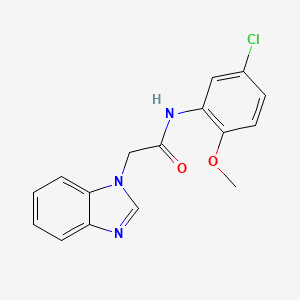 molecular formula C16H14ClN3O2 B5308718 2-(1H-benzimidazol-1-yl)-N-(5-chloro-2-methoxyphenyl)acetamide 