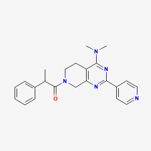 molecular formula C23H25N5O B5309022 N,N-dimethyl-7-(2-phenylpropanoyl)-2-(4-pyridinyl)-5,6,7,8-tetrahydropyrido[3,4-d]pyrimidin-4-amine 