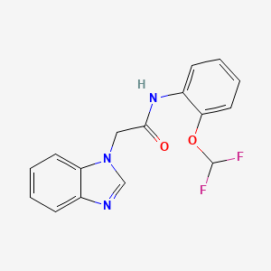 molecular formula C16H13F2N3O2 B5309960 2-(1H-benzimidazol-1-yl)-N-[2-(difluoromethoxy)phenyl]acetamide 