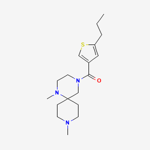 molecular formula C18H29N3OS B5312110 1,9-dimethyl-4-[(5-propyl-3-thienyl)carbonyl]-1,4,9-triazaspiro[5.5]undecane 