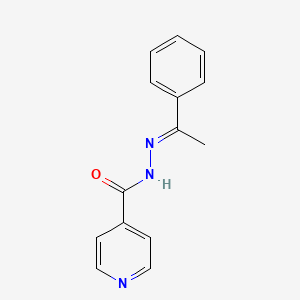 molecular formula C14H13N3O B5312465 N'-(1-phenylethylidene)isonicotinohydrazide 