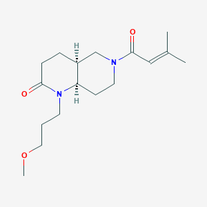 molecular formula C17H28N2O3 B5313116 (4aS*,8aR*)-1-(3-methoxypropyl)-6-(3-methylbut-2-enoyl)octahydro-1,6-naphthyridin-2(1H)-one 