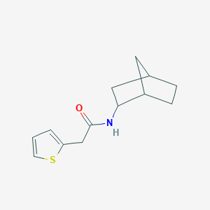 molecular formula C13H17NOS B5314195 N-bicyclo[2.2.1]hept-2-yl-2-(2-thienyl)acetamide 