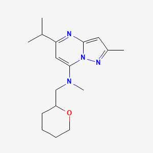 molecular formula C17H26N4O B5314617 5-isopropyl-N,2-dimethyl-N-(tetrahydro-2H-pyran-2-ylmethyl)pyrazolo[1,5-a]pyrimidin-7-amine 