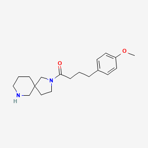 molecular formula C19H28N2O2 B5315577 2-[4-(4-methoxyphenyl)butanoyl]-2,7-diazaspiro[4.5]decane hydrochloride 