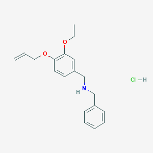 molecular formula C19H24ClNO2 B5315672 [4-(allyloxy)-3-ethoxybenzyl]benzylamine hydrochloride 