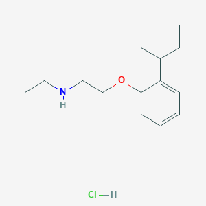 molecular formula C14H24ClNO B5316099 [2-(2-sec-butylphenoxy)ethyl]ethylamine hydrochloride 