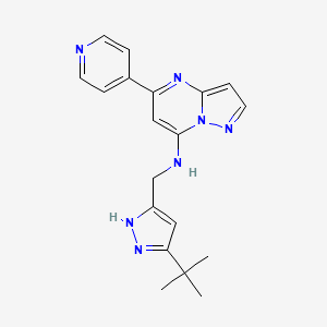 molecular formula C19H21N7 B5316447 N-[(3-tert-butyl-1H-pyrazol-5-yl)methyl]-5-(4-pyridinyl)pyrazolo[1,5-a]pyrimidin-7-amine 