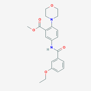 methyl 5-[(3-ethoxybenzoyl)amino]-2-morpholin-4-ylbenzoate