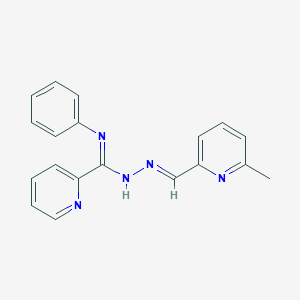 molecular formula C19H17N5 B5327071 N'-[(6-methyl-2-pyridinyl)methylene]-N-phenyl-2-pyridinecarbohydrazonamide 