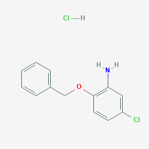 molecular formula C13H13Cl2NO B5327697 [2-(benzyloxy)-5-chlorophenyl]amine hydrochloride 