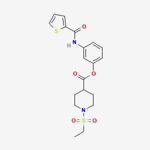 molecular formula C19H22N2O5S2 B5328774 3-[(2-thienylcarbonyl)amino]phenyl 1-(ethylsulfonyl)-4-piperidinecarboxylate 