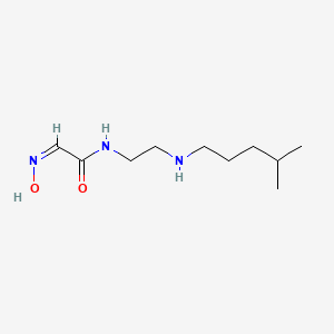 2-(hydroxyimino)-N-{2-[(4-methylpentyl)amino]ethyl}acetamide