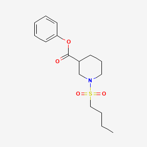 molecular formula C16H23NO4S B5330053 phenyl 1-(butylsulfonyl)-3-piperidinecarboxylate 