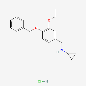 molecular formula C19H24ClNO2 B5330984 N-[4-(benzyloxy)-3-ethoxybenzyl]cyclopropanamine hydrochloride 