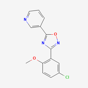 molecular formula C14H10ClN3O2 B5331253 3-[3-(5-chloro-2-methoxyphenyl)-1,2,4-oxadiazol-5-yl]pyridine 