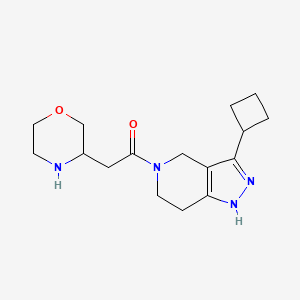 3-cyclobutyl-5-(3-morpholinylacetyl)-4,5,6,7-tetrahydro-1H-pyrazolo[4,3-c]pyridine hydrochloride