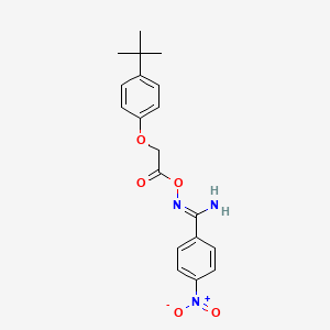 N'-{[(4-tert-butylphenoxy)acetyl]oxy}-4-nitrobenzenecarboximidamide