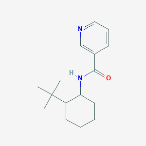 molecular formula C16H24N2O B5342804 N-(2-tert-butylcyclohexyl)pyridine-3-carboxamide 