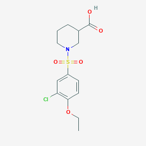 molecular formula C14H18ClNO5S B5343083 1-[(3-Chloro-4-ethoxyphenyl)sulfonyl]piperidine-3-carboxylic acid 